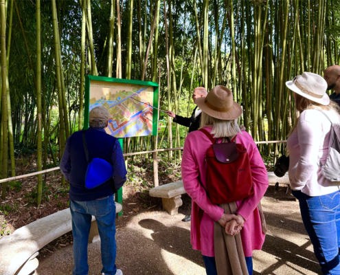 Guide showing a pond in Giverny’s gardens surrounded by bamboo.