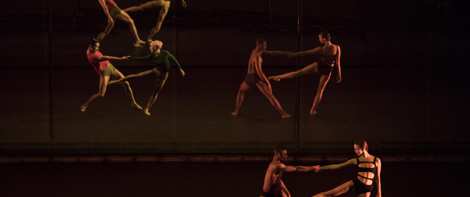 Ballet | Tree of Codes | 2018-2019 – Paris Webservices